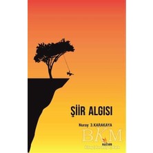 TeknoKapsül Şiir Algısı