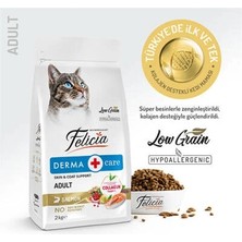 Urfakent Hypoallergenic Somonlu Düşük Tahıllı Yetişkin Kedi Maması 2 kg
