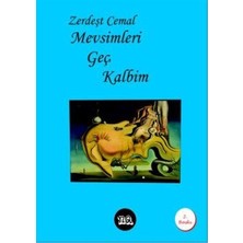 TeknoKapsül Mevsimleri Geç Kalbim
