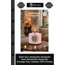 Terrien Özel Seri Hediyelik Kompakt Sesli Bluetooth Hoparlör Vintage Gaz Lambası D53 Pembe