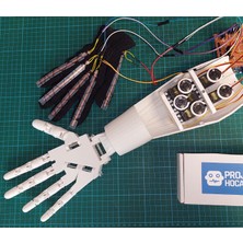 Yapboz Flex Sensörlü Biyonik Robot El