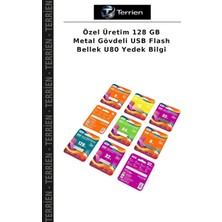 Terrien Özel Üretim 128 GB Metal Gövdeli USB Flash Bellek U80 Yedek Bilgi