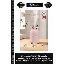 Terrien Premium Salon Alışveriş Hediyelik Hava Nemlendiricisi Buhar Makinesi 220 ml Pembe H1