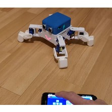 Yapboz Engel Algılayan Örümcek Robot