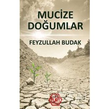 TeknoKapsül Mucize Doğumlar