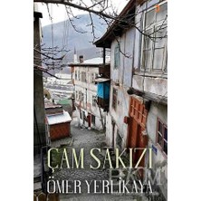 TeknoKapsül Çam Sakızı