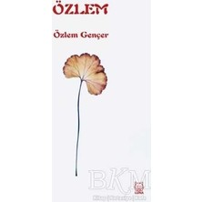 TeknoKapsül Özlem