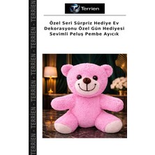 Terrien Özel Seri Sürpriz Hediye Ev Dekorasyonu Özel Gün Hediyesi Sevimli Peluş Pembe Ayıcık