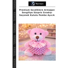 Terrien Premium Sevdiklere Armağan Sevgiliye Sürpriz Sıradışı Seçenek Kutulu Pembe Ayıcık