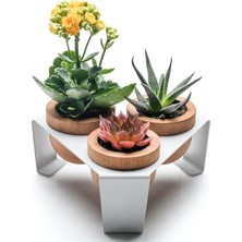 Halohope Beyaz Metal Stantlı 3’lü Skulent Saksısı – Metal Stant ve Meşe Saksılar, Modern Tasarım, Dekoratif Ç
