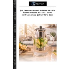 Terrien Şık Tasarım Mutfak Dekoru Misafir Ikramı Detoks Sürahisi 1500 ml Paslanmaz Çelik Filtre Cam
