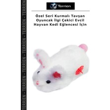 Terrien Özel Seri Kurmalı Tavşan Oyuncak Ilgi Çekici Evcil Hayvan Kedi Eğlencesi Için