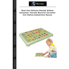 Terrien Özel Seri Bilişsel Destek Dikkat Çalışması Tanıma Becerisi Çocuklar Için Hafıza Eşleştirme Oyunu