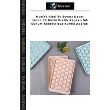 Terrien Mutfak Aleti Ev Eşyası Davet Ürünü 33 Gözlü Pratik Kapaklı Şık Sunum Kokteyl Buz Küresi Aparatı