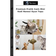 Terrien Premium Pratik Canlı Mini Kedi Nanesi Oyun Topu