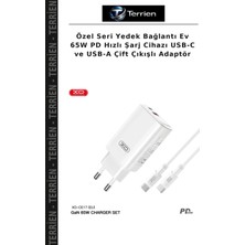 Terrien Özel Seri Yedek Bağlantı Ev 65W Pd Hızlı Şarj Cihazı Usb-C ve Usb-A Çift Çıkışlı Adaptör