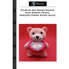 Terrien Premium Hoş Hediye Desenli Kutu Anlamlı Sürpriz Hediyelik Pembe Kutulu Ayıcık