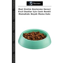 Terrien Özel Üretim Beslenme Gereci Evcil Dostlar Için Canlı Renkli Mamakabı Büyük Mama Kabı