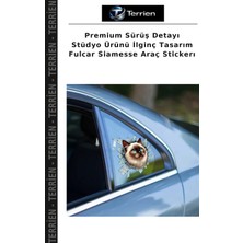 Terrien Premium Sürüş Detayı Stüdyo Ürünü Ilginç Tasarım Fulcar Siamesse Araç Stickerı