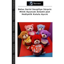 Terrien Delux Serisi Sevgiliye Sürpriz Minik Oyuncak Anlamlı Jest Hediyelik Kutulu Ayıcık