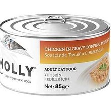 Hilera Molly Sos Içerisinde Tavuklu ve Balkabaklı Yetişkin Kedi Konservesi 85GR