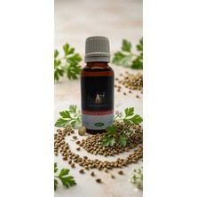 Lavinsoil Maydanoz Tohum Yağı 20 ml (Parsley Seed Oil)