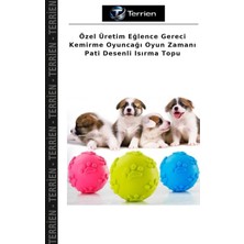 Terrien Özel Üretim Eğlence Gereci Kemirme Oyuncağı Oyun Zamanı Pati Desenli Isırma Topu