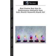 Terrien Özel Üretim Özel Gün Ev Dekorasyonu Hediyelik Eşya Işıklı Müzikli Romantik Büyük Gül