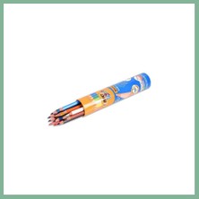 Bşk Virgo Evolution Kuru Boya 12+1 Metal Tüp 1 Adet BSK2026