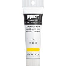 Xml Bayiciniz Tr Professional Heavy Body Akrilik Boya, Kadmiumgelb Mittel, Acrylfarbe 59ML Tube