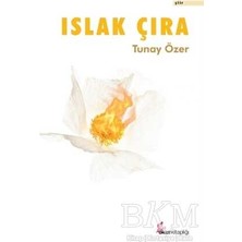 TeknoKapsül Islak Çıra