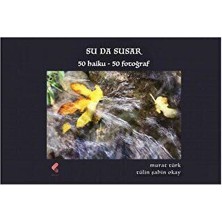TeknoKapsül Su Da Susar