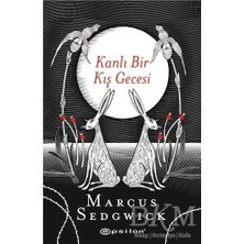 TeknoKapsül Kanlı Bir Kış Gecesi