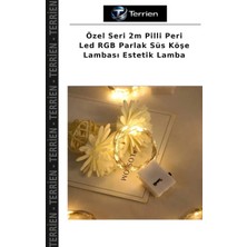 Terrien Özel Seri 2m Pilli Peri LED Rgb Parlak Süs Köşe Lambası Estetik Lamba