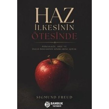 TeknoKapsül Haz Ilkesinin Ötesinde