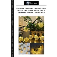 Terrien Premium Dekoratif Lamba Renkli Ortam Yaz Temalı 2m 10 LED 2 Kademeli Ananas LED Işık Pilli