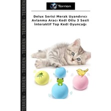 Terrien Delux Serisi Merak Uyandırıcı Avlanma Aracı Kedi Otlu 3 Sesli Interaktif Top Kedi Oyuncağı
