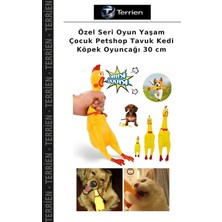 Terrien Özel Seri Oyun Yaşam Çocuk Petshop Tavuk Kedi Köpek Oyuncağı 30 cm