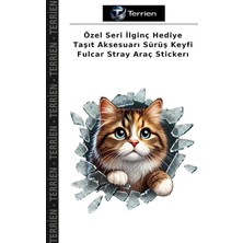Terrien Özel Seri Ilginç Hediye Taşıt Aksesuarı Sürüş Keyfi Fulcar Stray Araç Stickerı