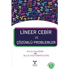 TeknoKapsül Lineer Cebir ve Çözümlü Problemler