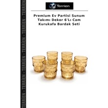 Terrien Premium Ev Partisi Sunum Takımı Dekor 6'lı Cam Kurukafa Bardak Seti