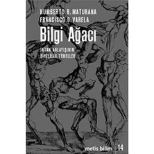 TeknoKapsül Bilgi Ağacı
