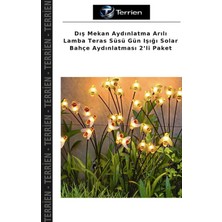 Terrien Dış Mekan Aydınlatma Arılı Lamba Teras Süsü Gün Işığı Solar Bahçe Aydınlatması 2’li Paket