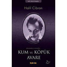 TeknoKapsül Kum ve Köpük Avare