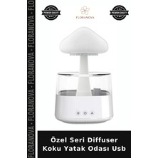 Floranova Özel Seri Diffuser Koku Yatak Odası USB