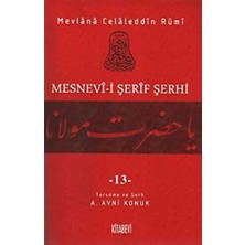 TeknoKapsül Mesnevi-I Şerif Şerhi Cilt: 13