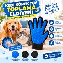 Vida Nova Yumuşak Silikonlu Kedi Köpek Tüy Toplama Eldiveni, Masaj Etkili, Ayarlanabilir Bileklikli