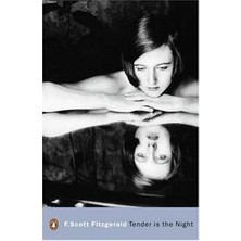 Penguin Books Tender Is The Night (Penguin Modern Classics)