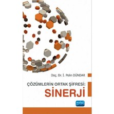 TeknoKapsül Çözümlerin Ortak Şifresi: Sinerji