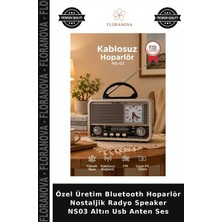 Floranova Özel Üretim Bluetooth Hoparlör Nostaljik Radyo Speaker NS03 Altın USB Anten Ses
